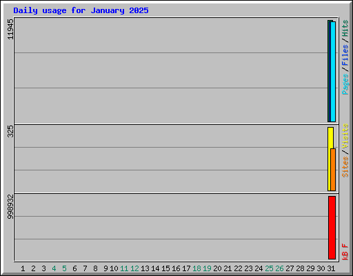 Daily usage for January 2025