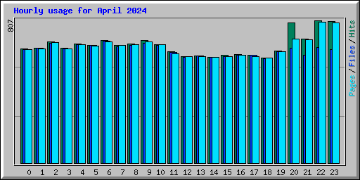 Hourly usage for April 2024