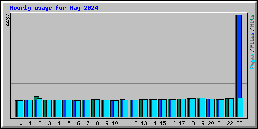 Hourly usage for May 2024