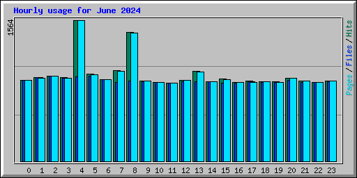 Hourly usage for June 2024