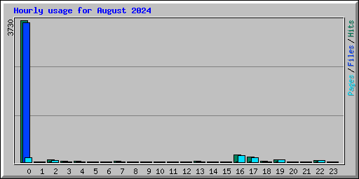 Hourly usage for August 2024