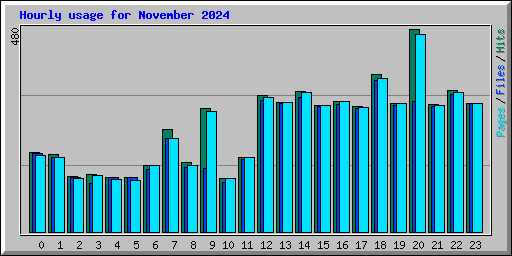 Hourly usage for November 2024