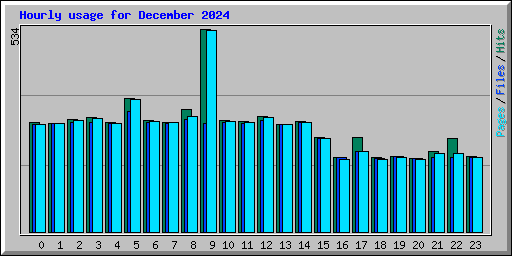 Hourly usage for December 2024