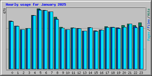 Hourly usage for January 2025