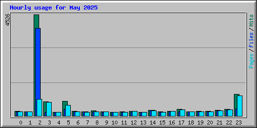 Hourly usage for May 2025
