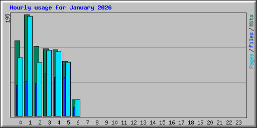 Hourly usage for January 2026