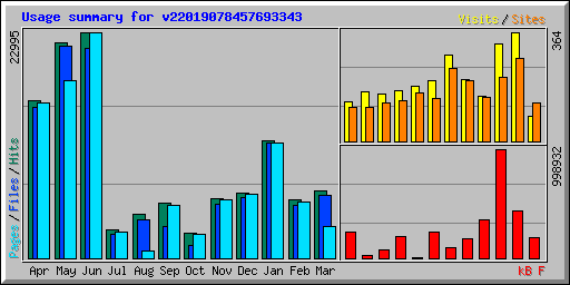 Usage summary for v22019078457693343